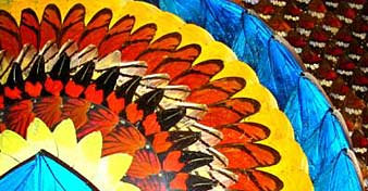 Butterfly wing art from butterfly-gifts.com
